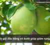 Cách gội đầu bằng vỏ bưởi giúp giảm rụng tóc
