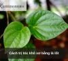 Cách trị tóc khô xơ bằng lá lốt
