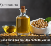 Công dụng của dầu đậu nành đối với tóc