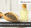 Dầu hạt chia giúp tóc mọc nhanh chóng?
