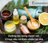 Dưỡng tóc bóng mượt với 13 loại dầu xả thiên nhiên tại nhà