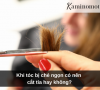 Khi tóc bị chẻ ngọn có nên cắt tỉa hay không?