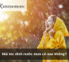 Mái tóc dính nước mưa có sao không?