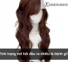 Mua tóc giả bao nhiêu tiền?