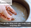 Thử gội đầu bằng nước gạo trong 1 tuần có gì thay đổi?