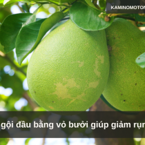 Cách gội đầu bằng vỏ bưởi giúp giảm rụng tóc