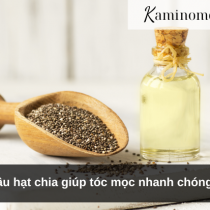 Dầu hạt chia giúp tóc mọc nhanh chóng?