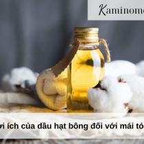 Lợi ích của dầu hạt bông đối với mái tóc 