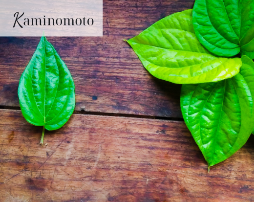 Lưu ý khi dùng lá lốt trị tóc khô xơ