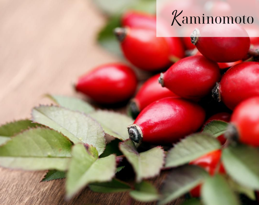 Lợi ích của dầu hạt tầm xuân 