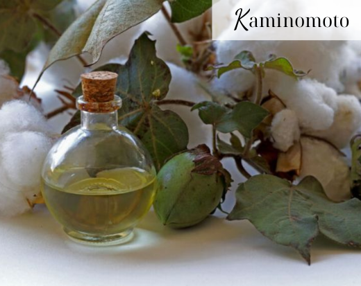 Phục hồi tóc hư tổn 